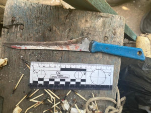 Вбила співмешканця ножем: у Кривому Розі затримали підозрювану жінку