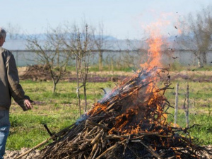 Фото із мережі Інтернет