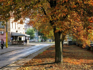 Фото Олександра Водолазського