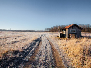 Зимова ферма й поле - фото з відкритих джерел