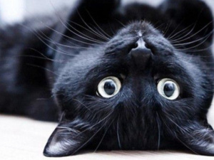 П'ятниця 13-те - фото з відкритих джерел