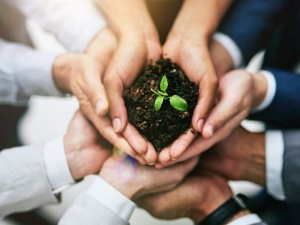 Фото із мережі інтернет