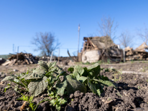 Фото пресслужби Дніпропетровської ОВА