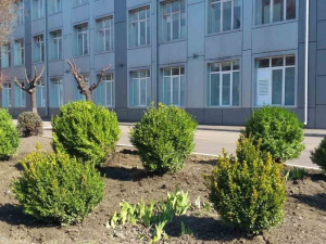 фото пресс-службы Метинвеста