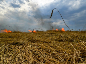 Фото з відкритих джерел