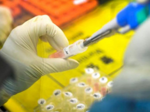 Фото из сети Интернет