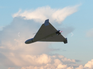 Фото з відкритих джерел