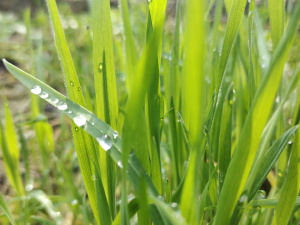 Фото редакції krivbass.city