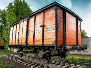 Фото Романа Неділько