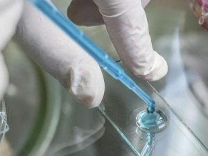 Фото из сети Интернет