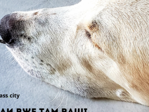 Фото: Depositphotos