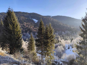 Погода на вікенд - фото ілюстративне з відкритих джерел  