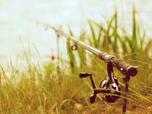 Зображення від montypeter на Freepik