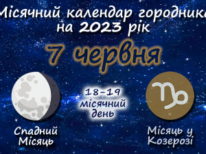 Фото з мережі інтернет