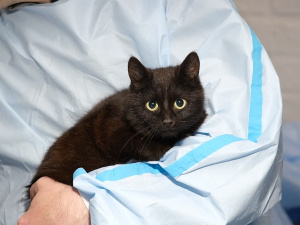 Фото редакції krivbass.city 