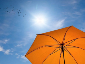 Фото з відкритих джерел 