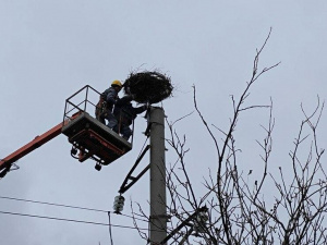 Фото ДТЕК Дніпровські електромережі