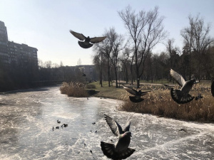 Криворізький вікенд: як провести весняні вихідні 7 та 8 березня 