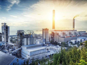 Український бізнес, фото з відкритих джерел 