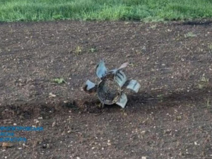 На Великдень рф обстріляла Інгулець