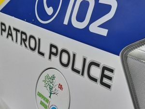 Криворізькі патрульні виявили ймовірних крадіїв кабелю