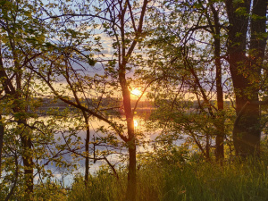 Фото редакції krivbass.city 