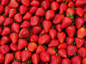 Фото з відкритих джерел