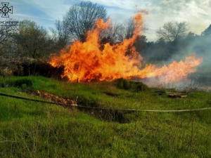 На Дніпропетровщині містяни продовжують завдавати шкоди екосистемі: кількість займань сухостою зростає