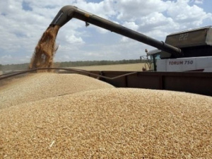 Україна просить Туреччину розслідувати, чому відпустили судно, що перевозило українське зерно