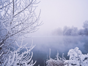 Погода на вікенд - фото ілюстративне з відкритих джерел  