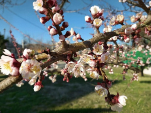 Погода в уїк-енд - фото ілюстративне з відкритих 