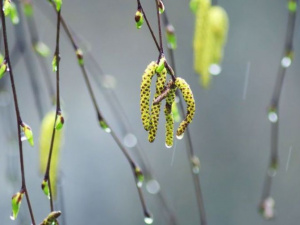 Фото із мережі Інтернет