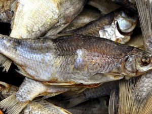 Фото з відкритих джерел