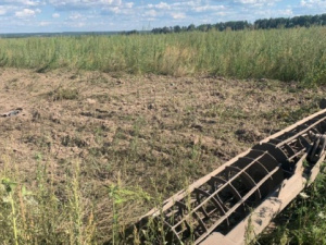 Фото із мережі Інтернет