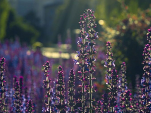 Фото: Depositphotos