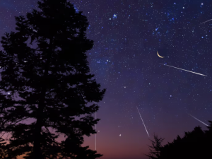 Фото з відкритих джерел