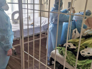 Фото пресс-службы Криворожского горисполкома