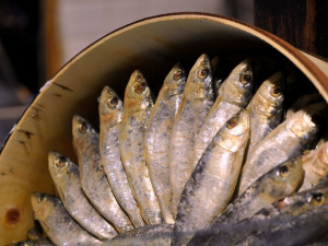 Фото з відкритих джерел