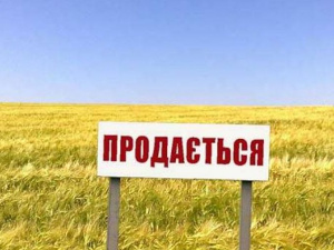 Фото з мережі інтернет 