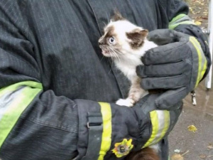 Фото пресс-службы ГСЧС Кривого Рога