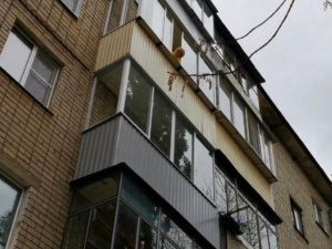 Фото из сети Интернет