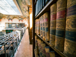 Фото з відкритих джерел