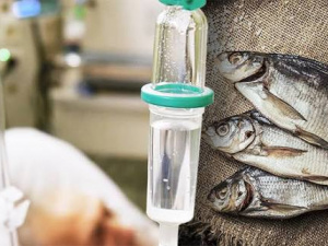 фото з відкритих джерел 