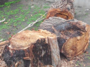 Фото із мережі Інтернет