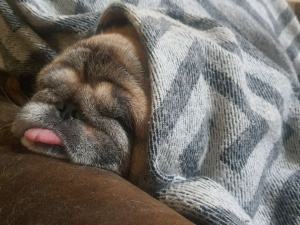 Фото редакції krivbass.city 