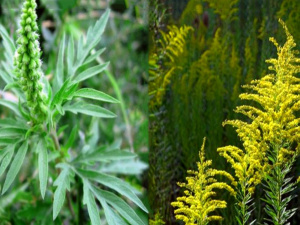 Фото з відкритих джерел