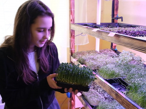 Бізнес-конструктор «Розумний город»: криворізькі школярі завдяки вирощеній мікрозелені донатять на ЗСУ