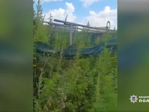 Фото: Стоп-кадр відео ГУНП у Дніпропетровській області