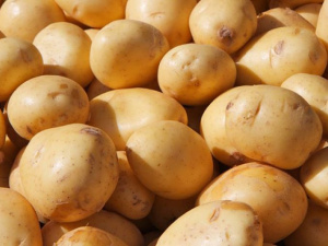 Фото из сети Интернет