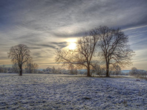 Фото ілюстративне з відкритих джерел 